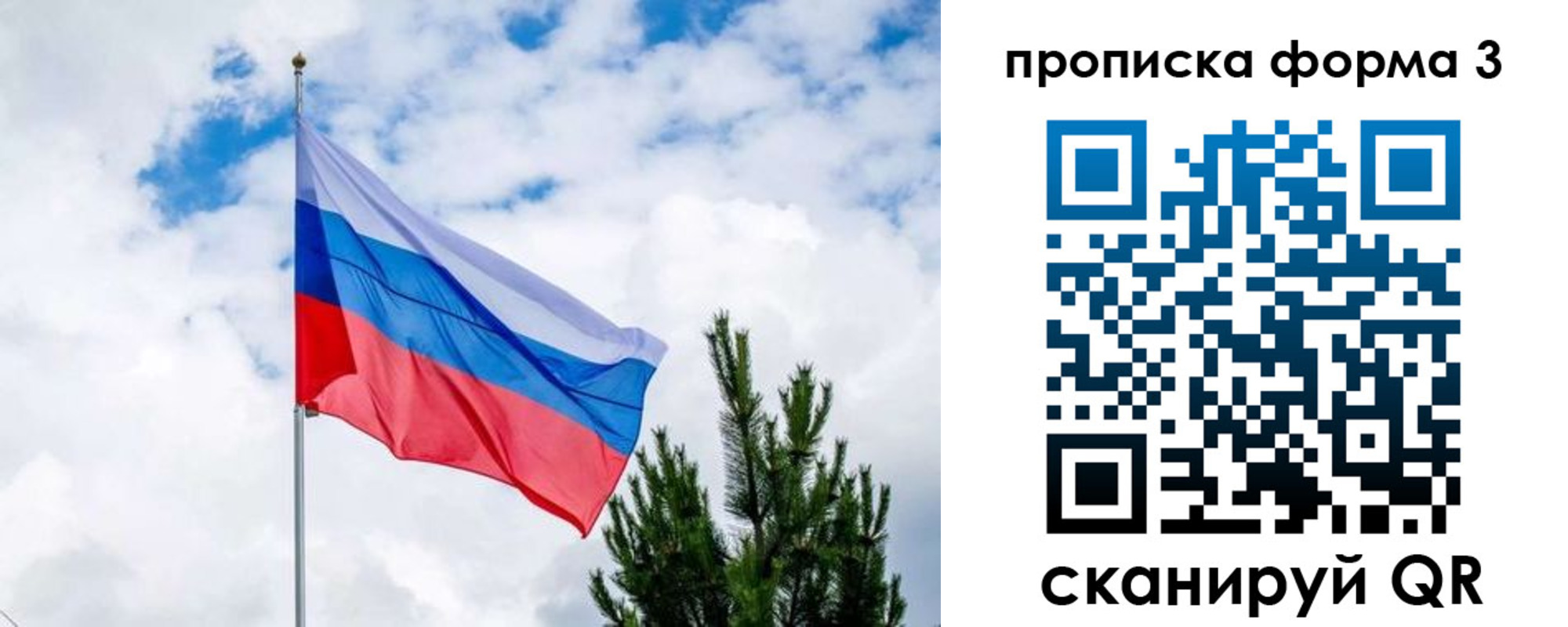 прописка для школы в Сысерти
